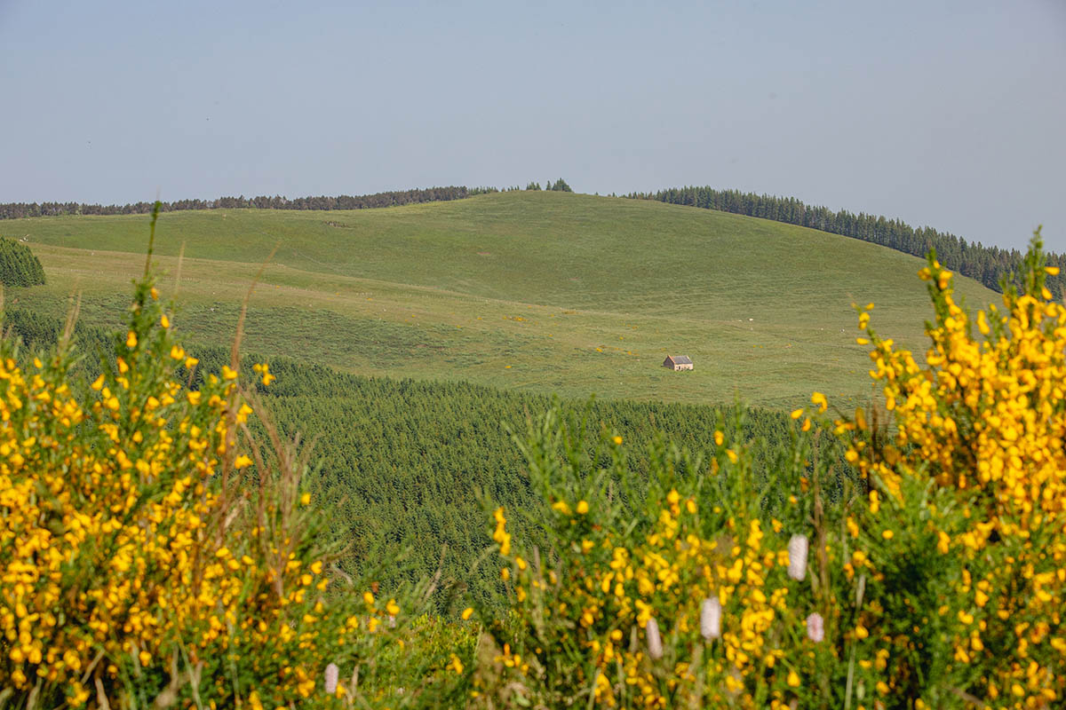 © P. Villemejane, Les Terres du milieu Buron près du lac Servières en Auvergne