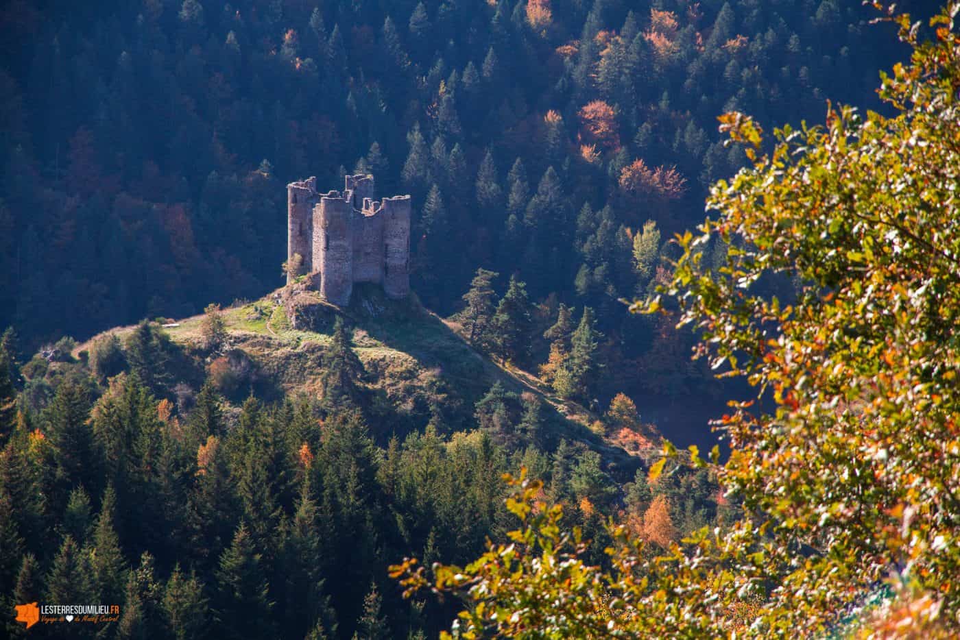 Le Château d'Alleuze dans les gorges de la Truyère