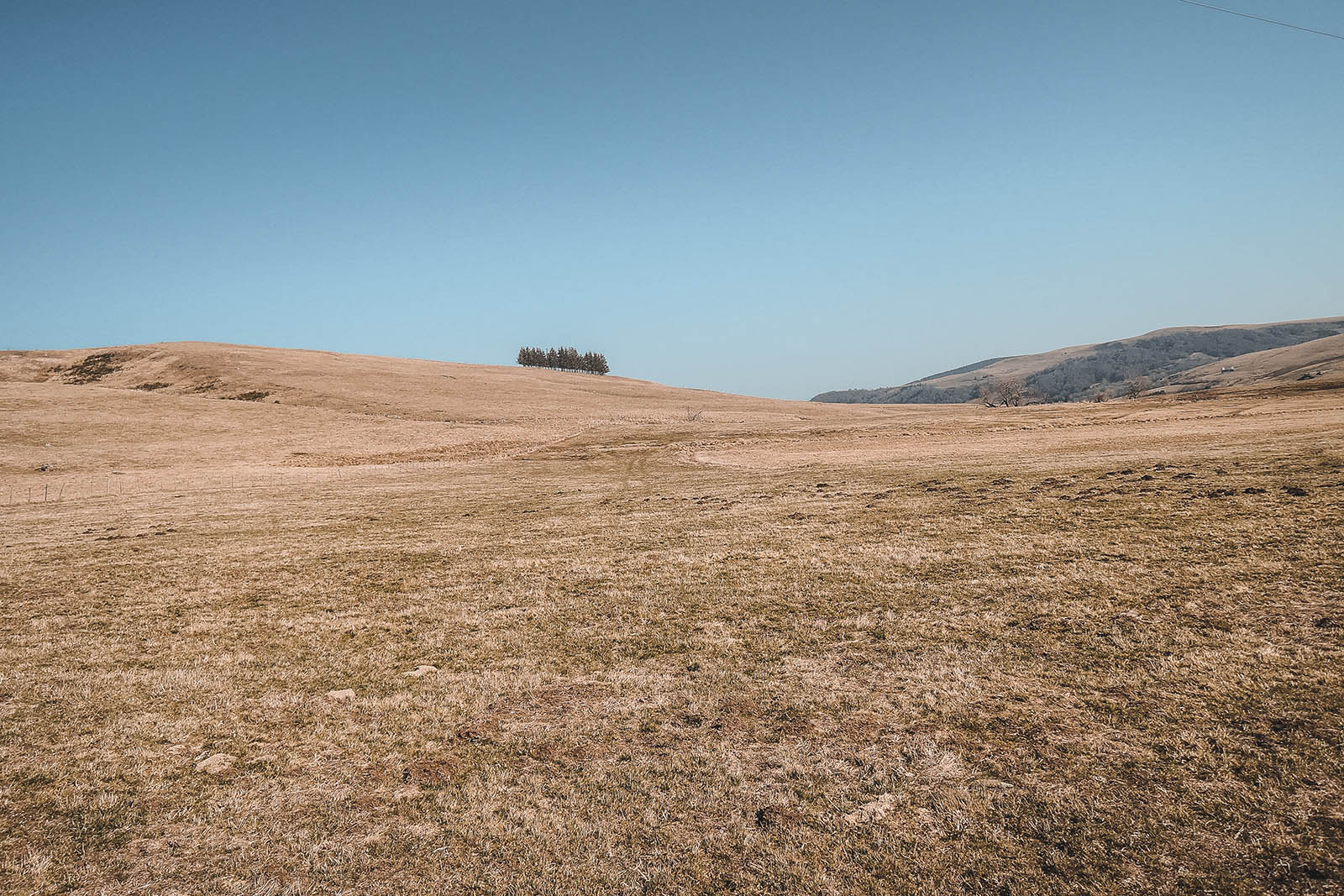 Plateau du Cézallier en Auvergne