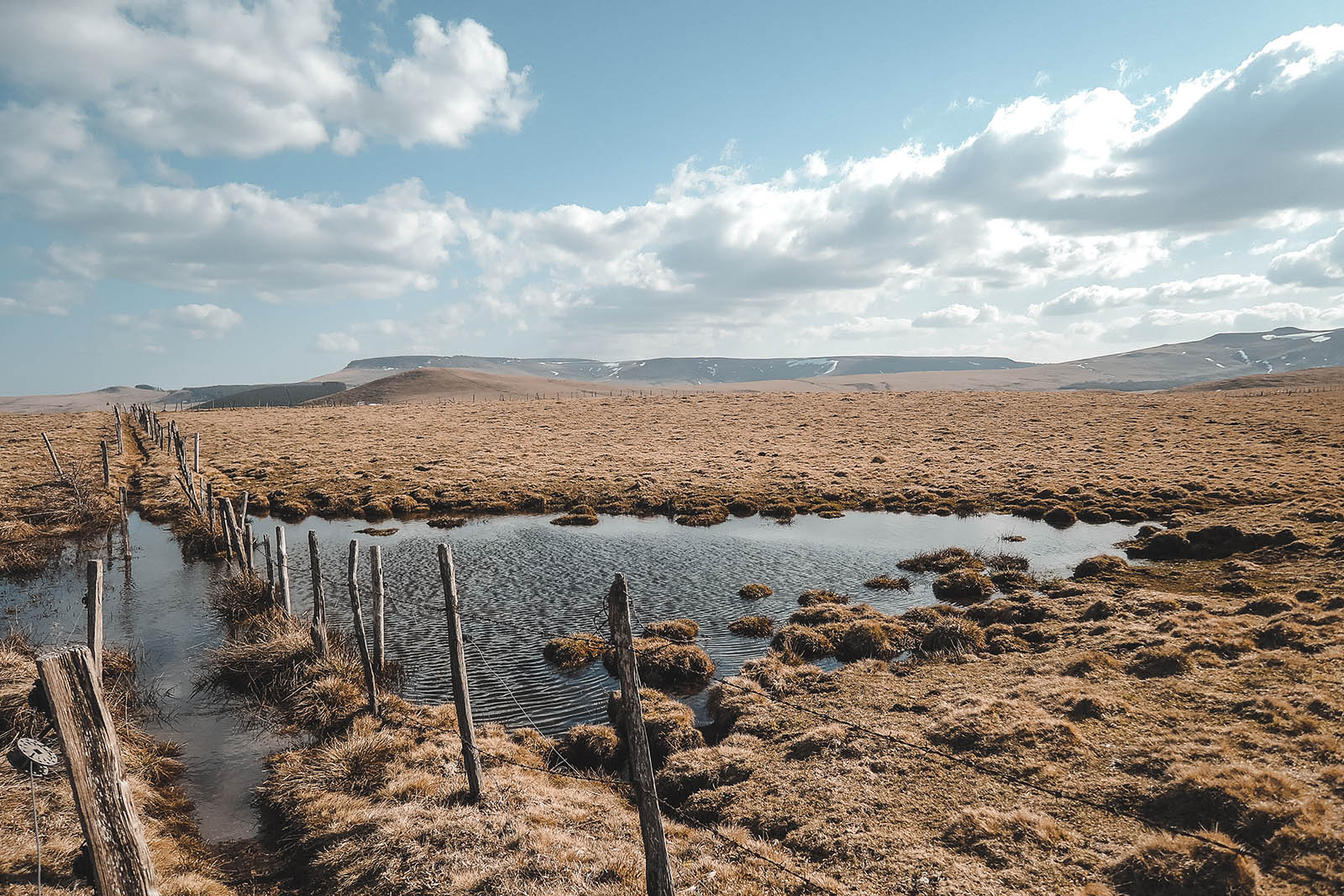 Tourbière et chemin de randonnée dans le Cézallier