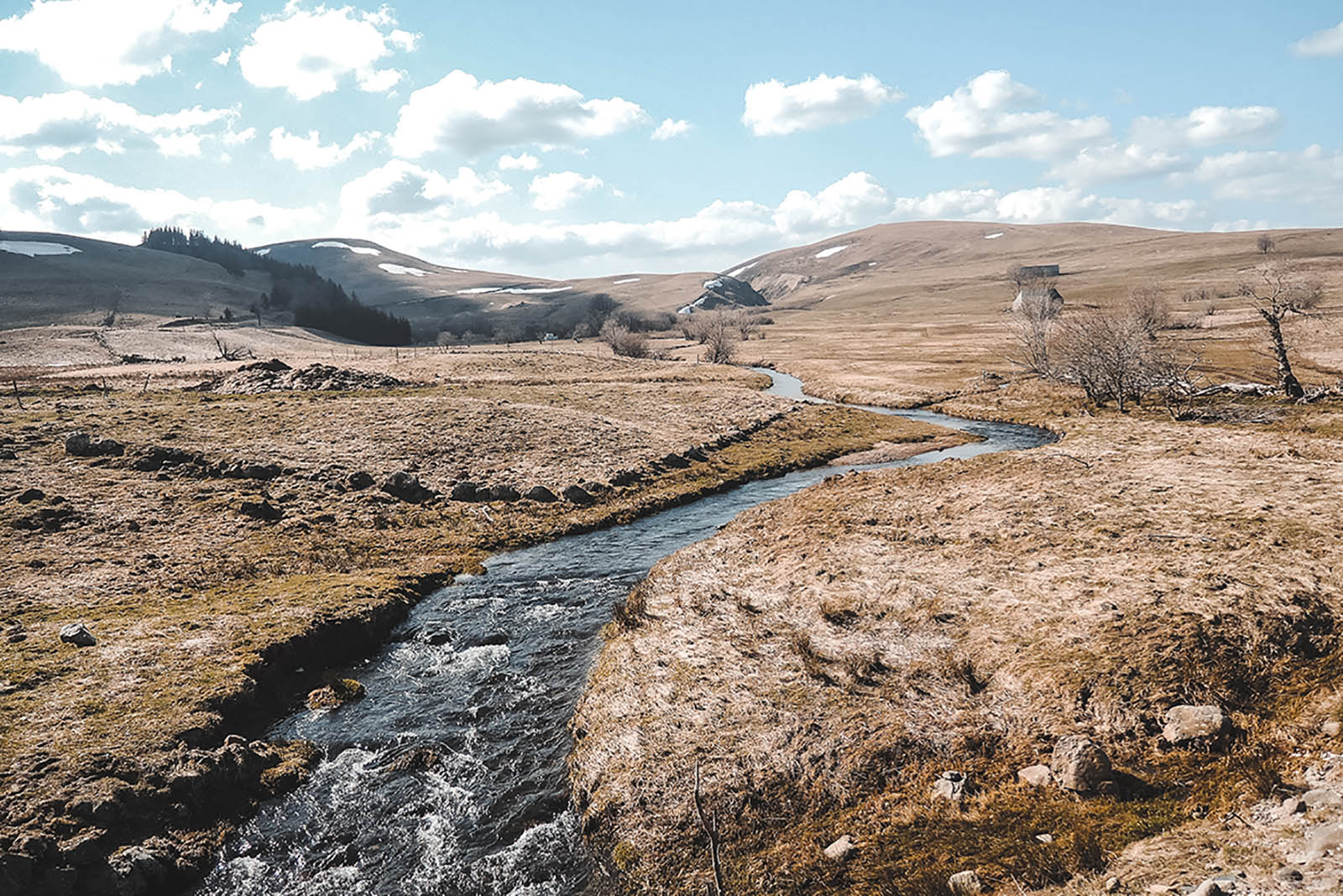 Ruisseau dans le Cézallier en Auvergne