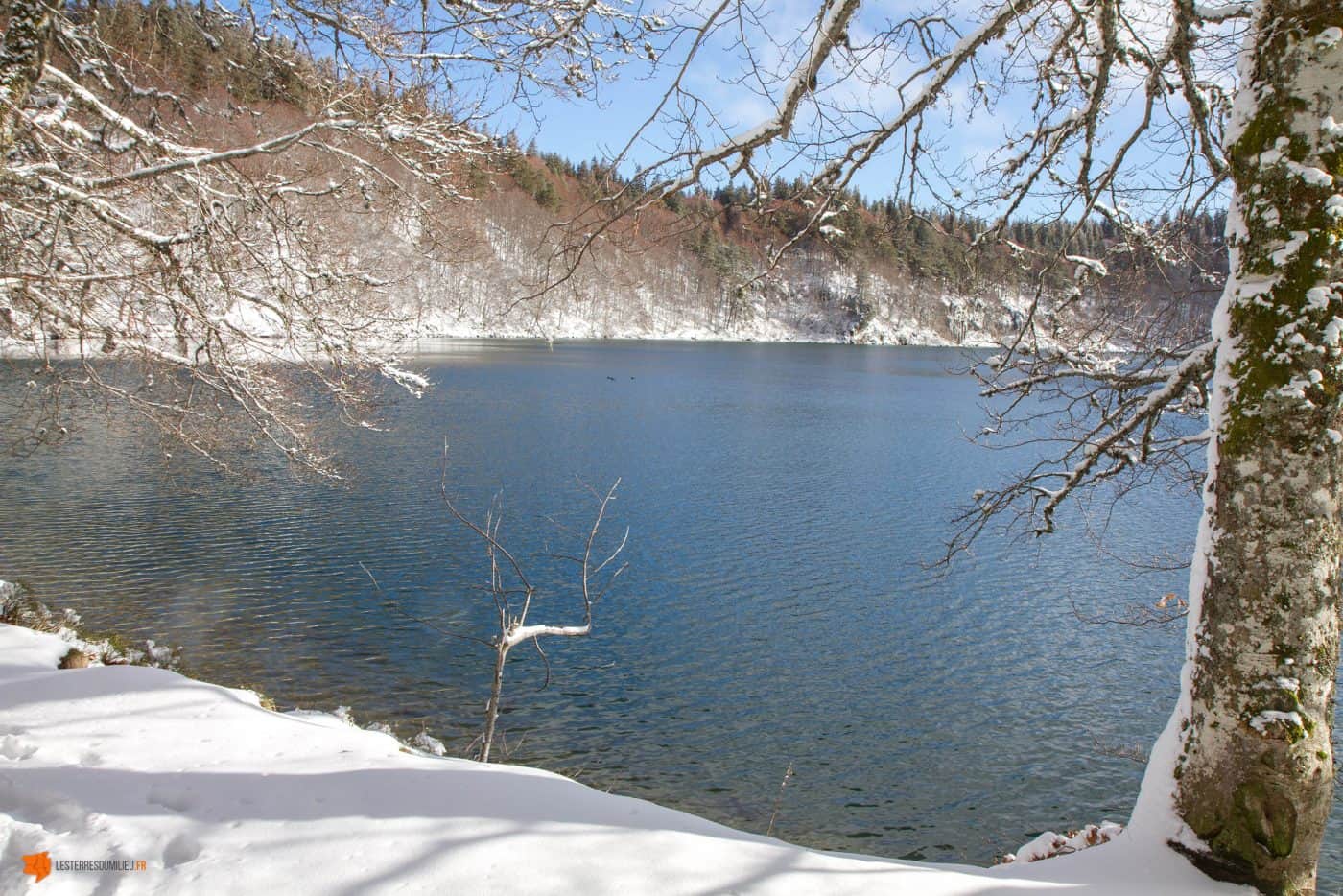 Le lac Pavin sous la neige dans le Sancy