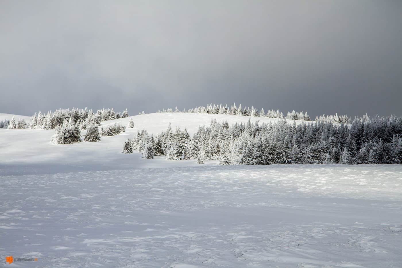 Près du Puy de Baladou en hiver dans le Sancy