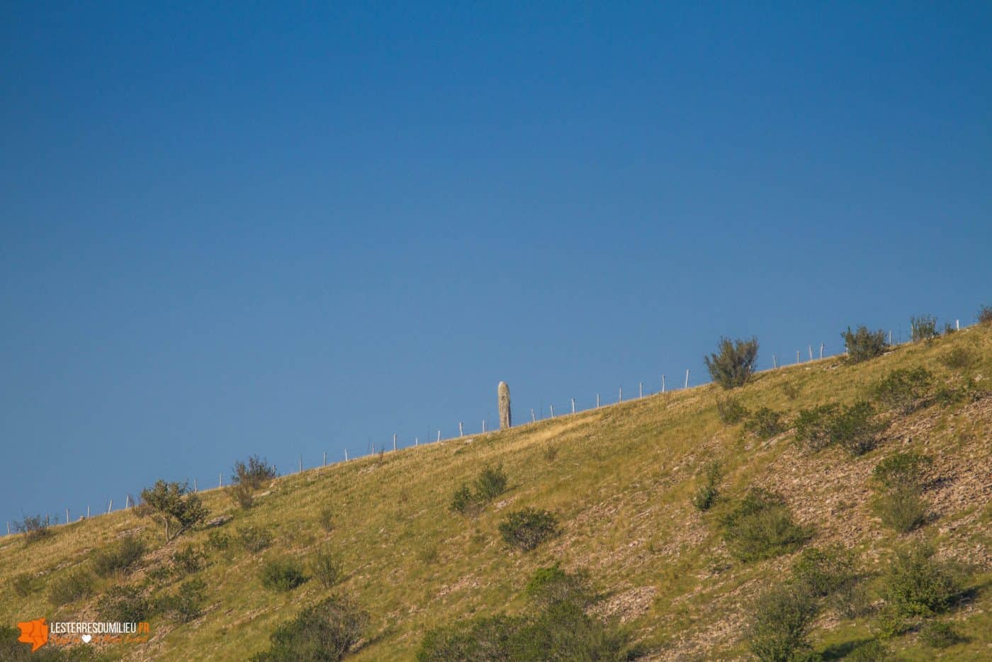 Menhir sur les bondons en Lozère