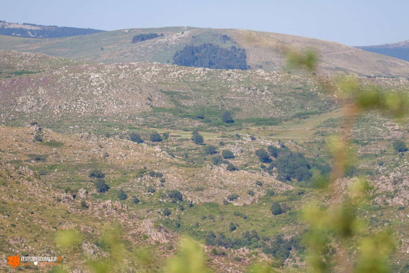 Vue sur le Mont Lozère depuis Ruas