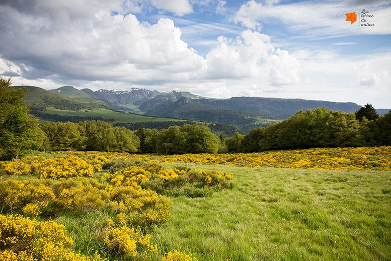 Panorama depuis le puy gros sur le Sancy