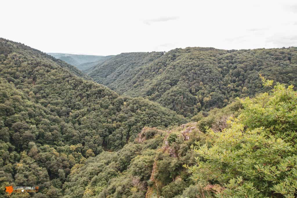 Les gorges de la Luzège en Corrèze