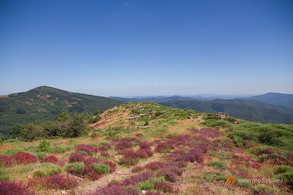 Panorama depuis les hauteurs de Vimbouches dans les Cévennes