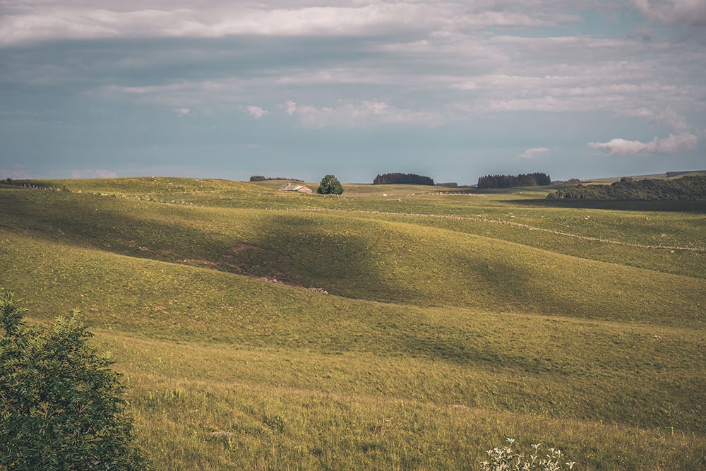 © P. Villemejane, Les Terres du milieu Buron sur le plateau de l'Aubrac