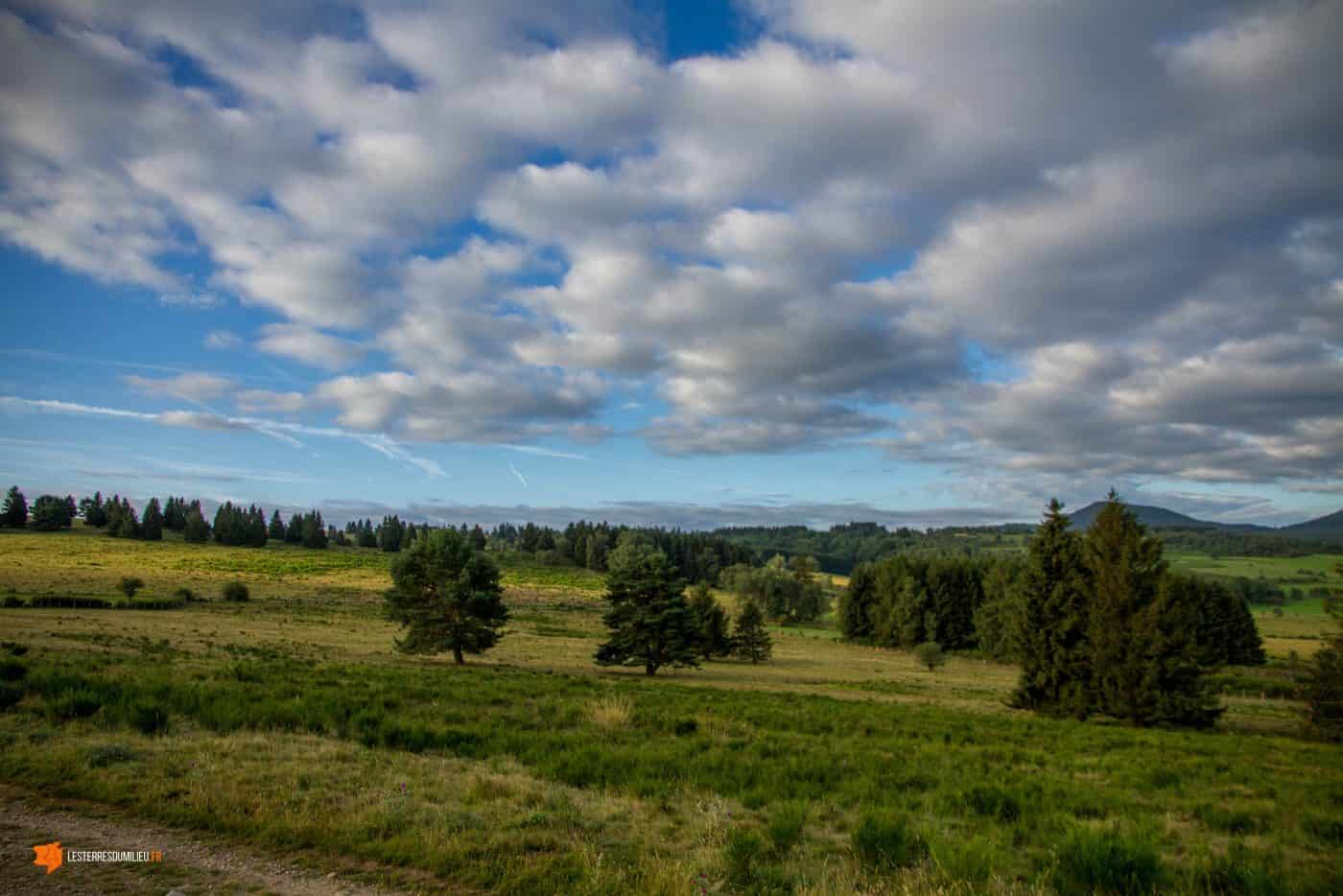 Entre Laschamps et Saint-Genès Champanelle